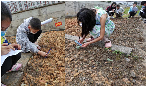 6利川市岩洞寺小学.jpg