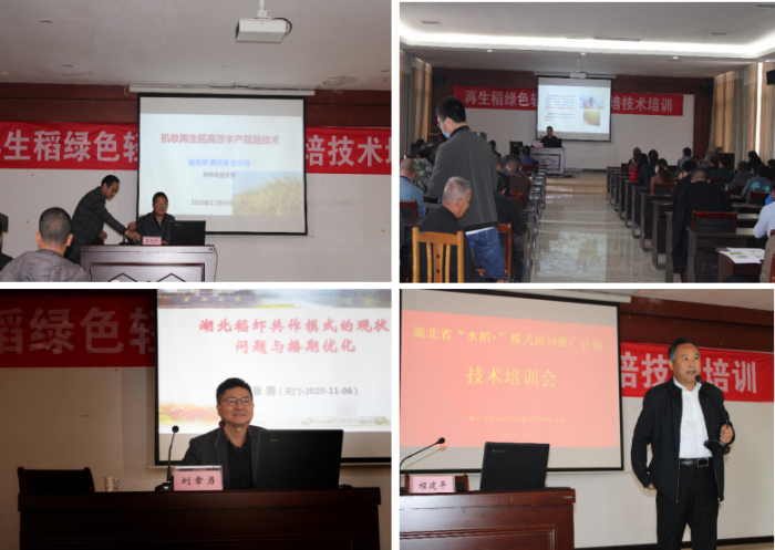 图片111.png