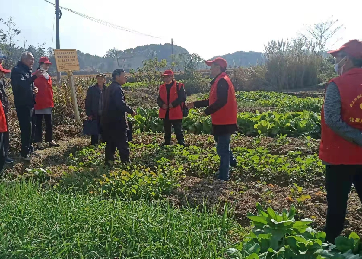 武穴市科协送技术到田间地头2.jpg