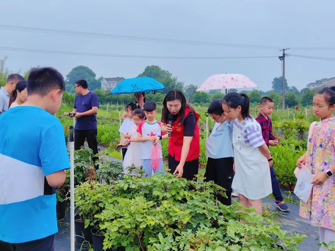 宜昌宜都市科协开展“绿意童行 邂逅自然”青少年植物科普实践活动3.png