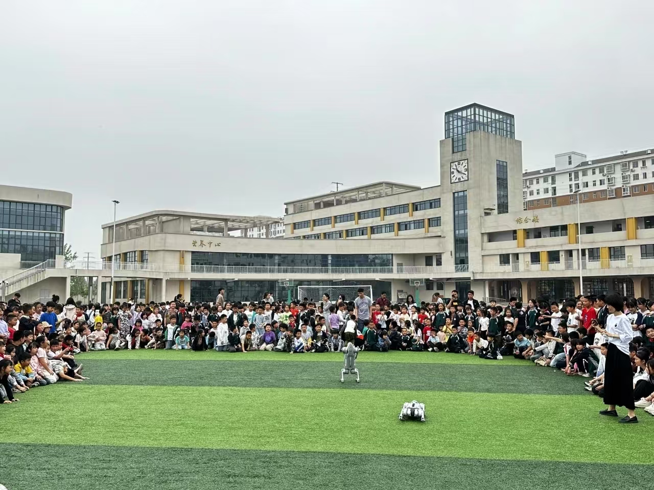 56.jpg