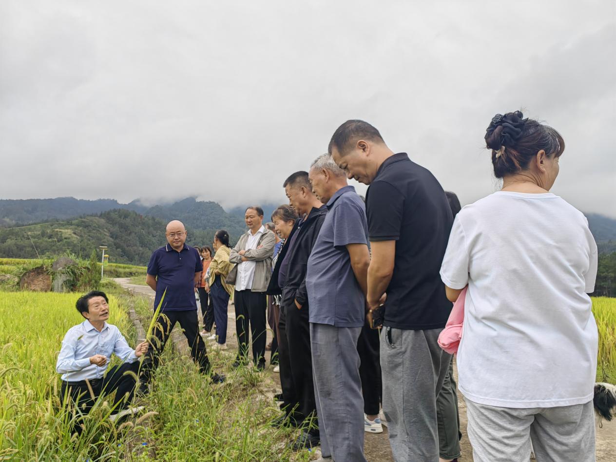 1757488712721003685.jpg 图片1.jpg