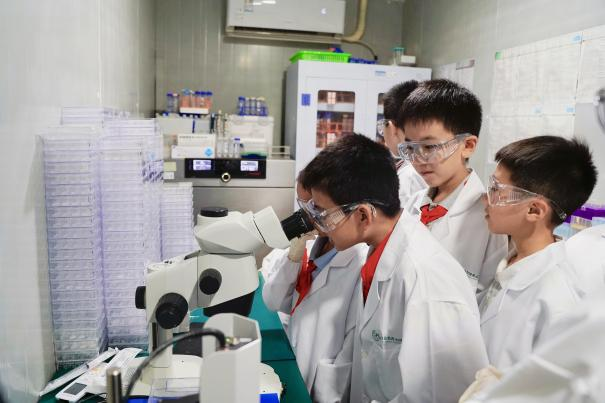 1759230622509064373.png 11.png