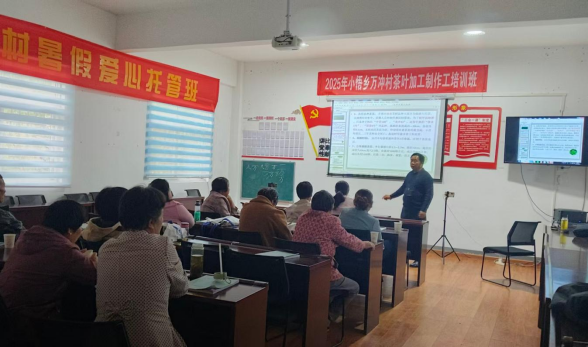 1760673472964016244.png 16.png