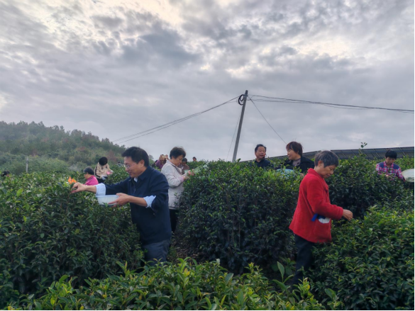 1760673493846012109.png 18.png