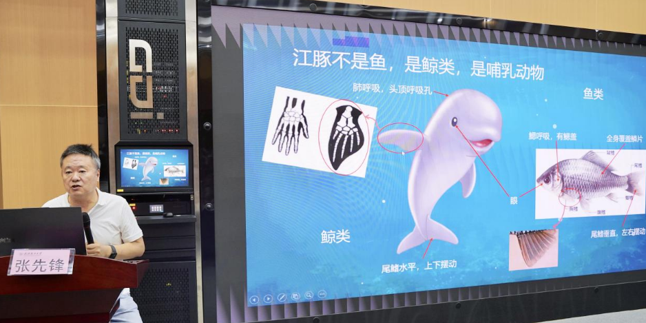 1760693739478086816.png 3.png