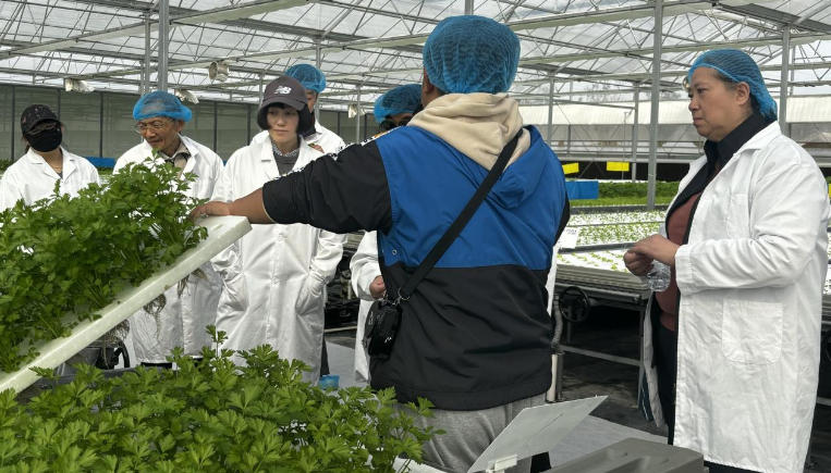 1761728219535003055.png 0.png