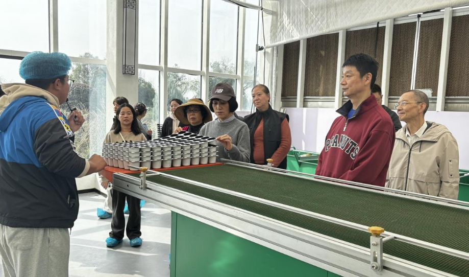 1761728227002009578.png 2.png