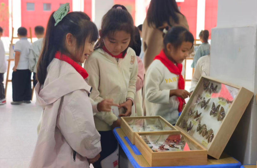 1761736997475008029.png 34.png