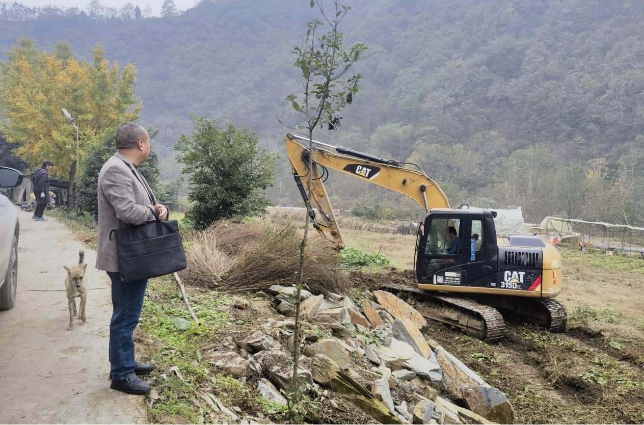 1762478352080030508.jpg 图片1.jpg