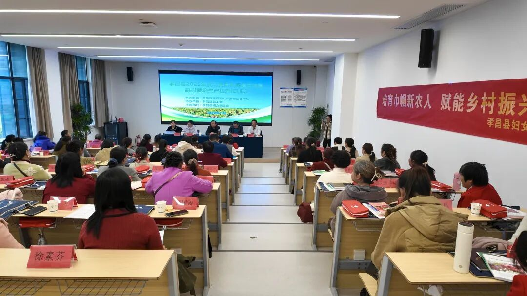 1762766371896075757.png 27.png