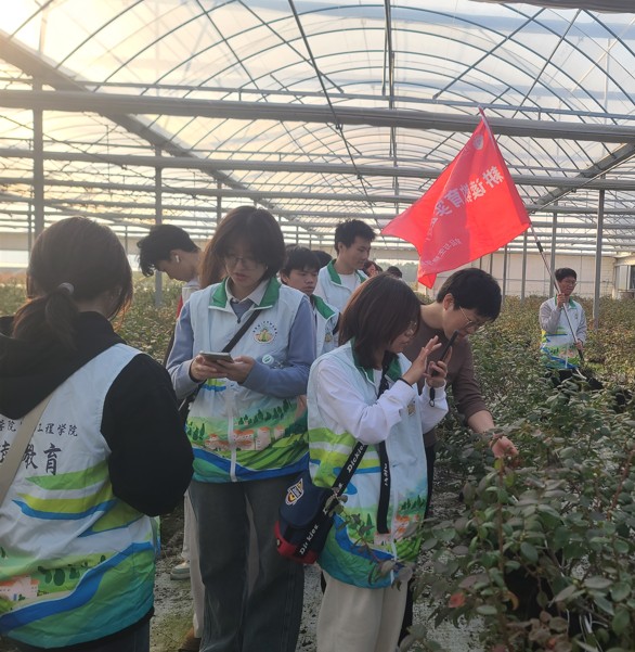 1763450013659053403.jpg 图片1_副本.jpg