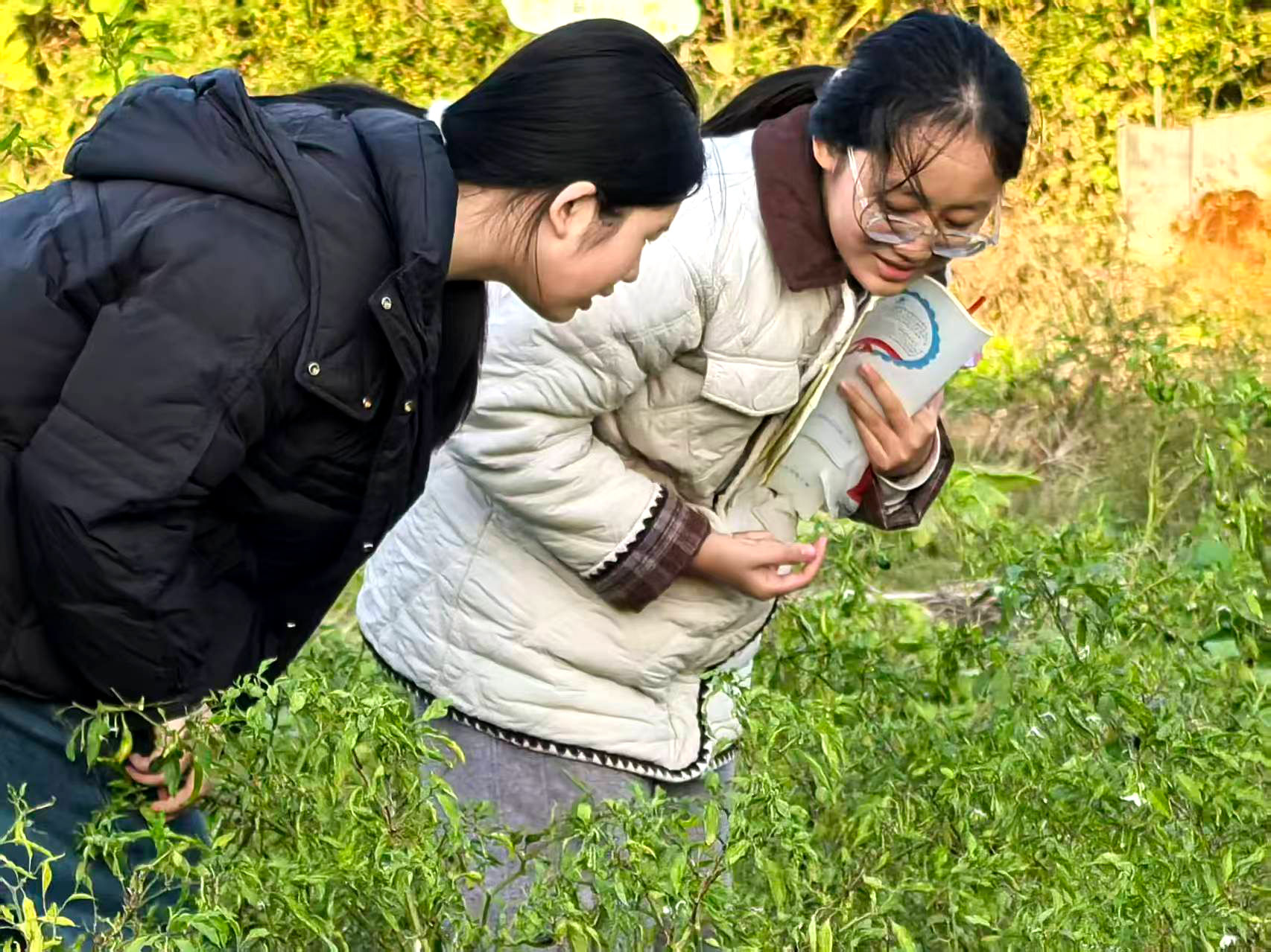 1763459864637094880.jpg 21.jpg