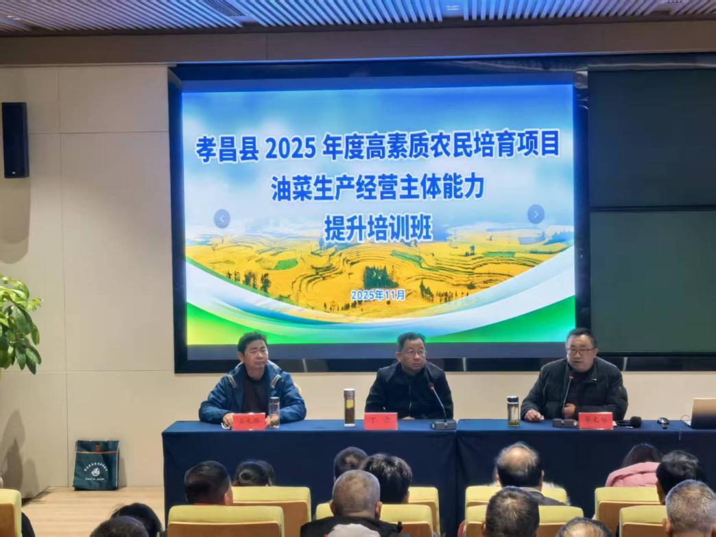 1763542888340008643.png 6.png