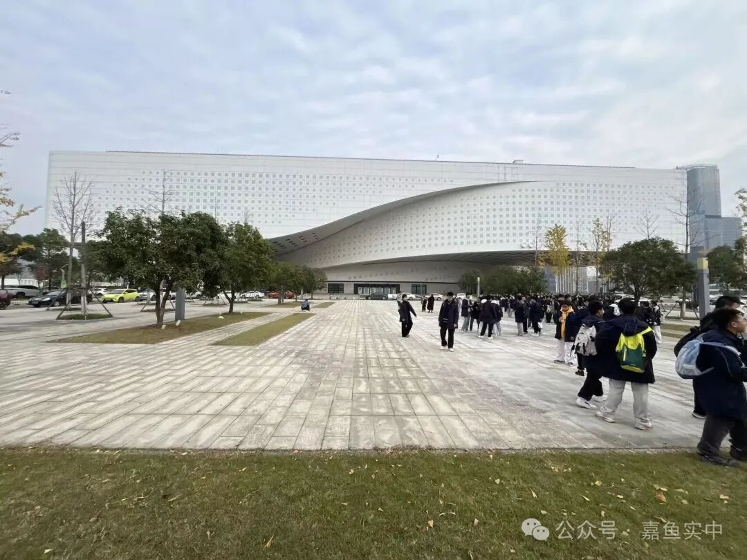 1763951008093033533.jpg W020251124371575022227.jpg