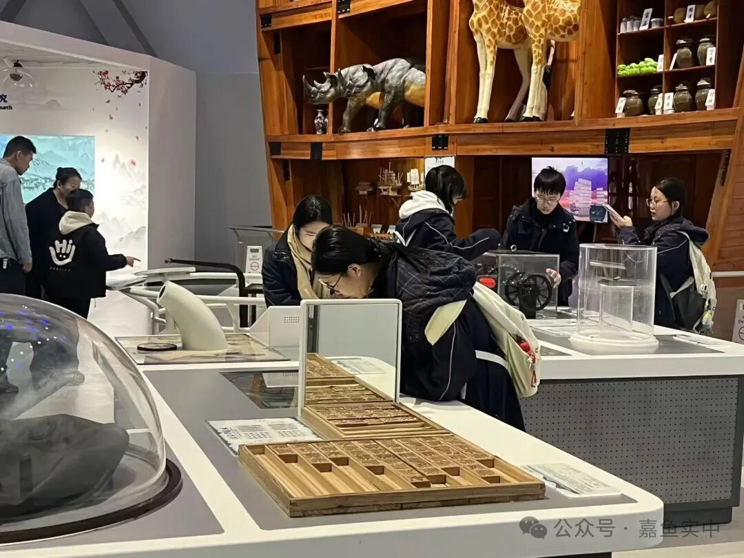 1763951225334035389.jpg W020251124371579053130.jpg