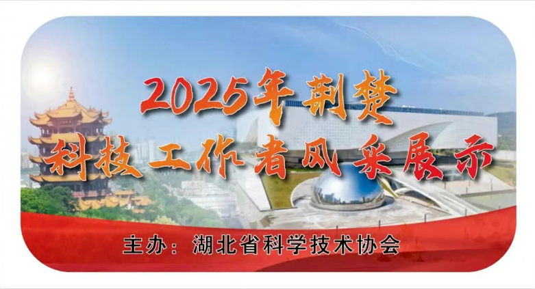 1764037980508024888.png image.png