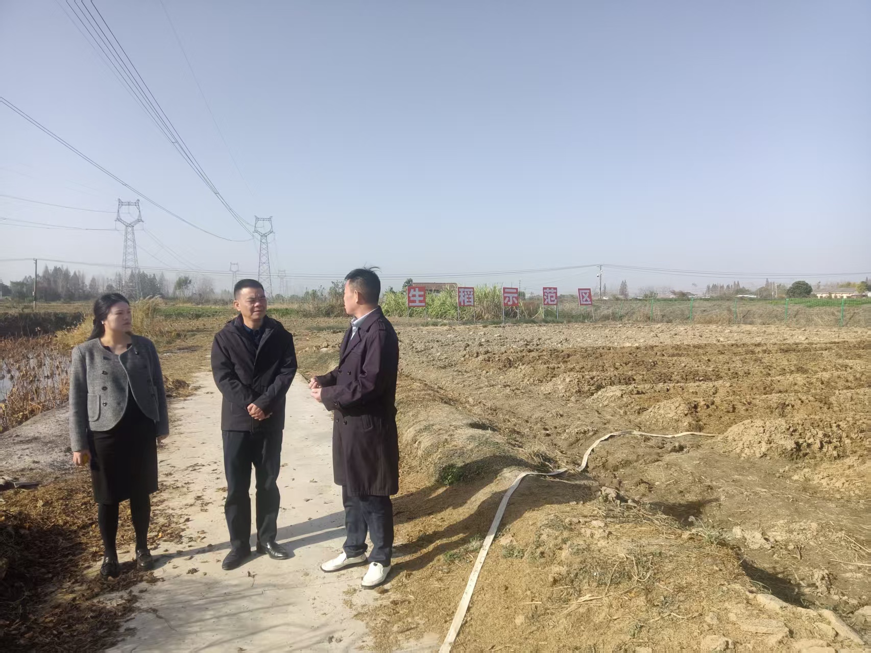 1764229768050004874.jpg 1.jpg