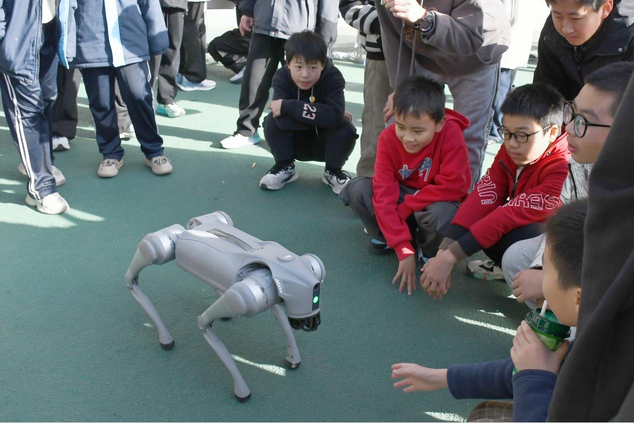 1764300648117050168.jpg 图片2_副本.jpg