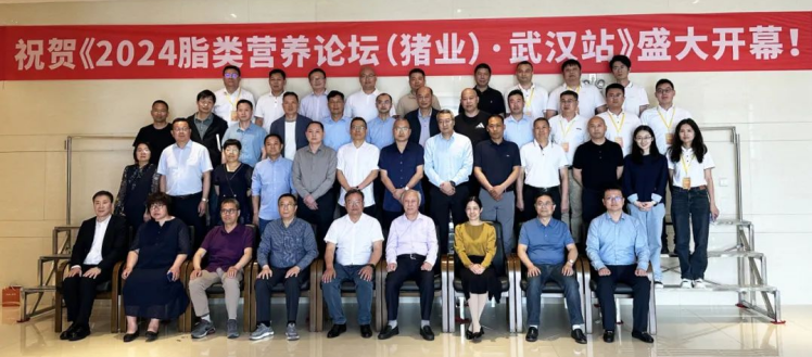 1764554365784090948.png bc150fca-6054-4882-9247-7180e36ff065.png