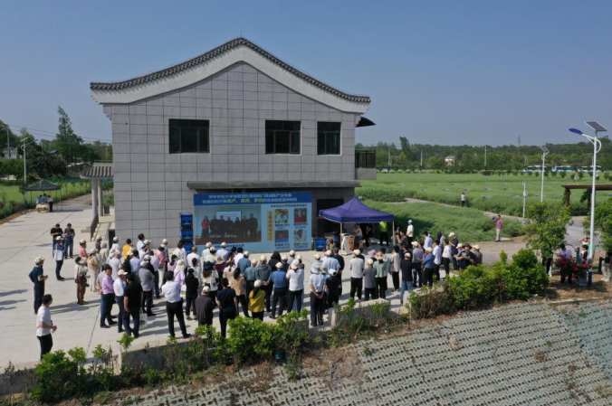 1764558783607075960.png image.png