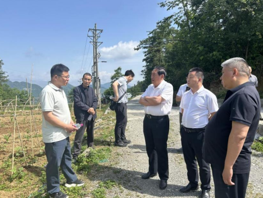 1764559195558065354.png image.png