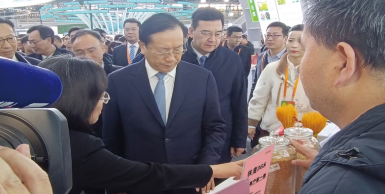 1764572069292070170.png image.png