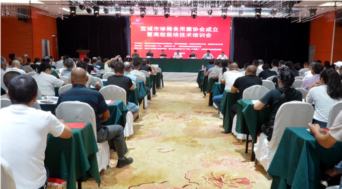 1764576827887033053.png 70671626-023e-4071-a152-5f2e80028f8c.png