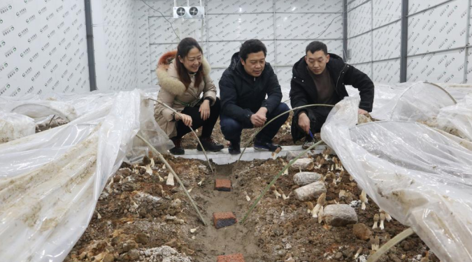 1764576849409003906.png image.png