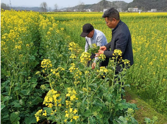 1764577205909083675.png image.png