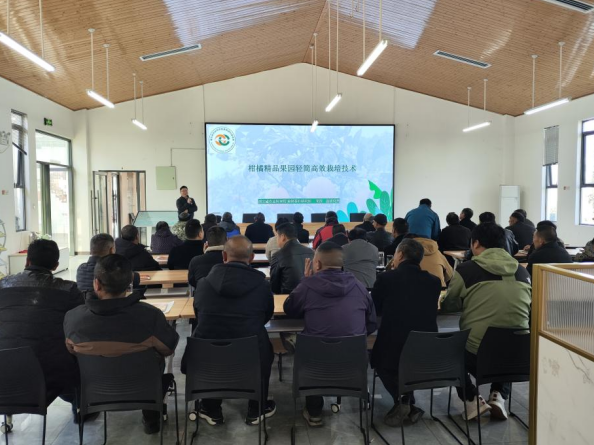 1764577698107039034.png 7c829592-a777-4df7-a914-7e5eef2e017b.png