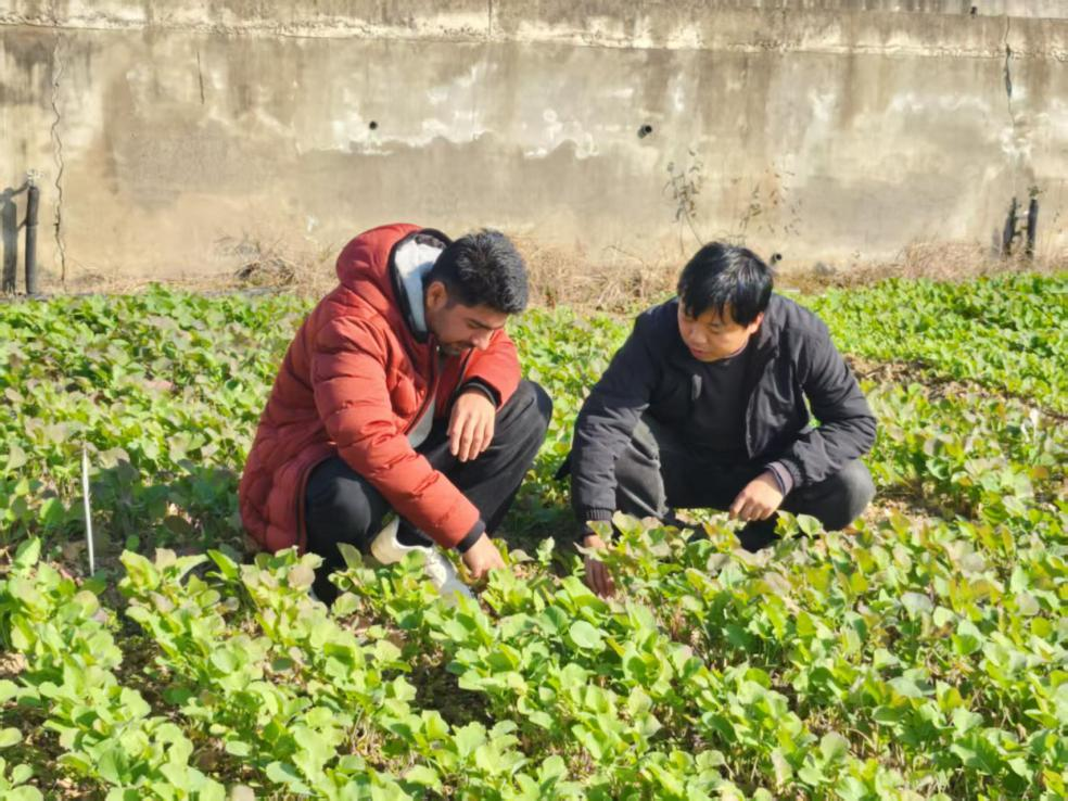 1764660184083046779.png 图片5.png