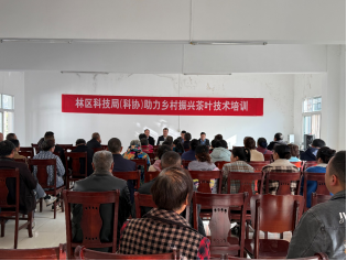 1764921165616027899.jpg 1971570860.jpg