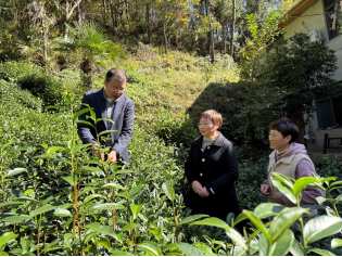 1764921176763011135.jpg 3005113010.jpg