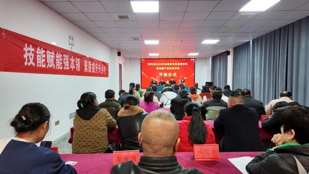 1765186511706014916.png 图片2.png