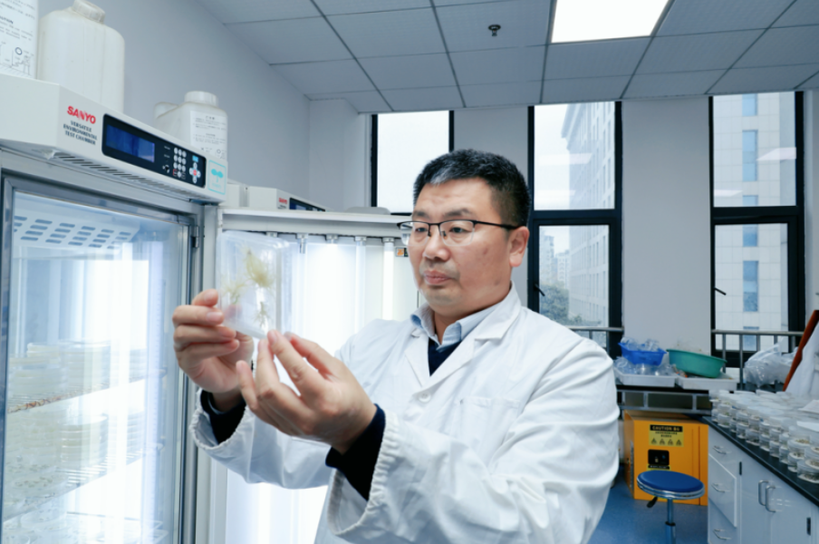 1765242462353066283.png image.png