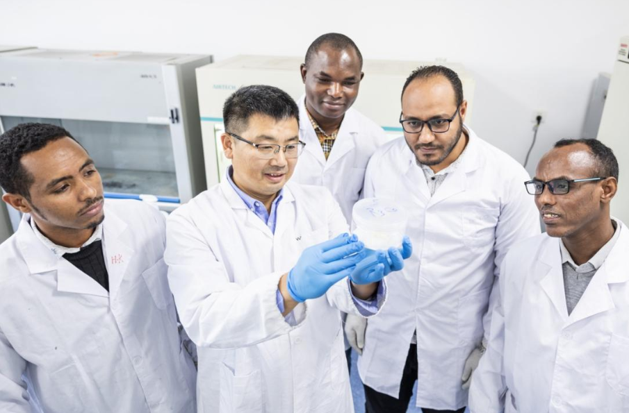 1765242494367064777.png image.png