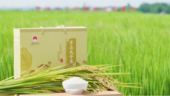 1765968324808089215.png 8.png