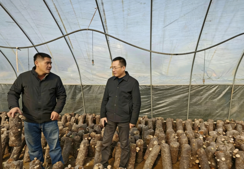 1766028185786011690.png 截图_选择区域_20251218112252.png