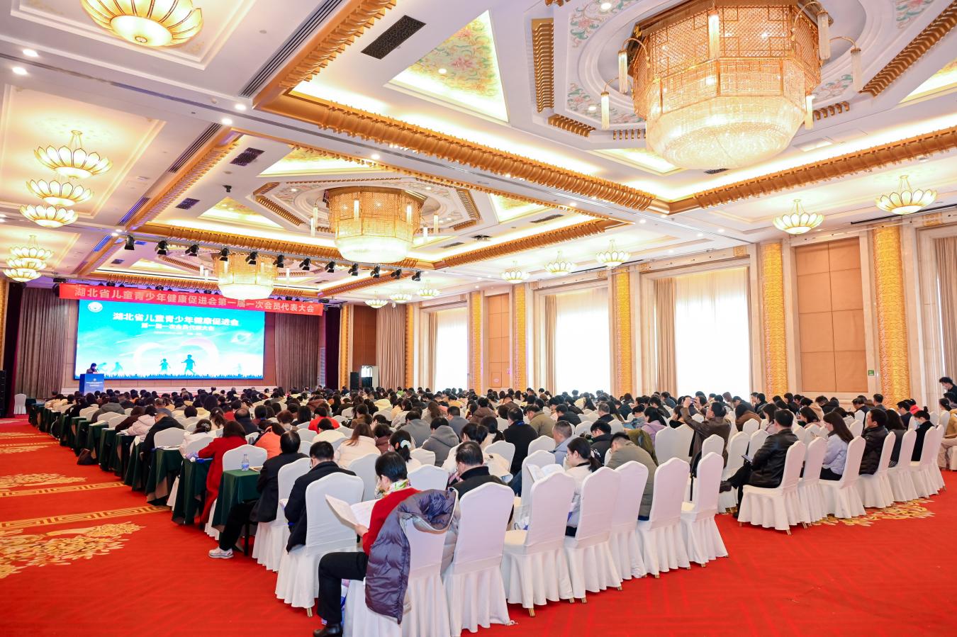 1766042072217066598.jpg 图片1.jpg