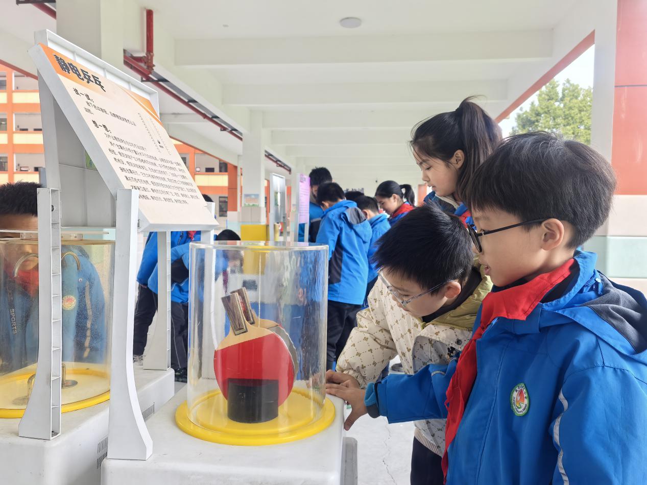 1766133981095018581.jpg 图片13.jpg