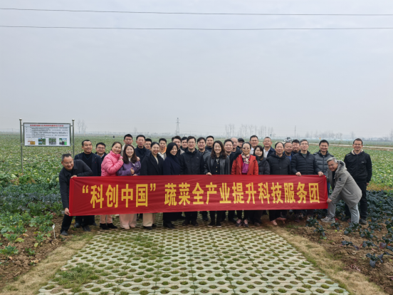新闻稿--“科创中国”蔬菜全产业提升科技服务团项目总结交流会成功举办566.png