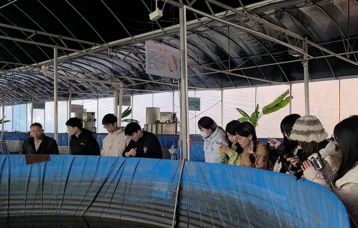 1769503095251061032.jpg 图片7.jpg