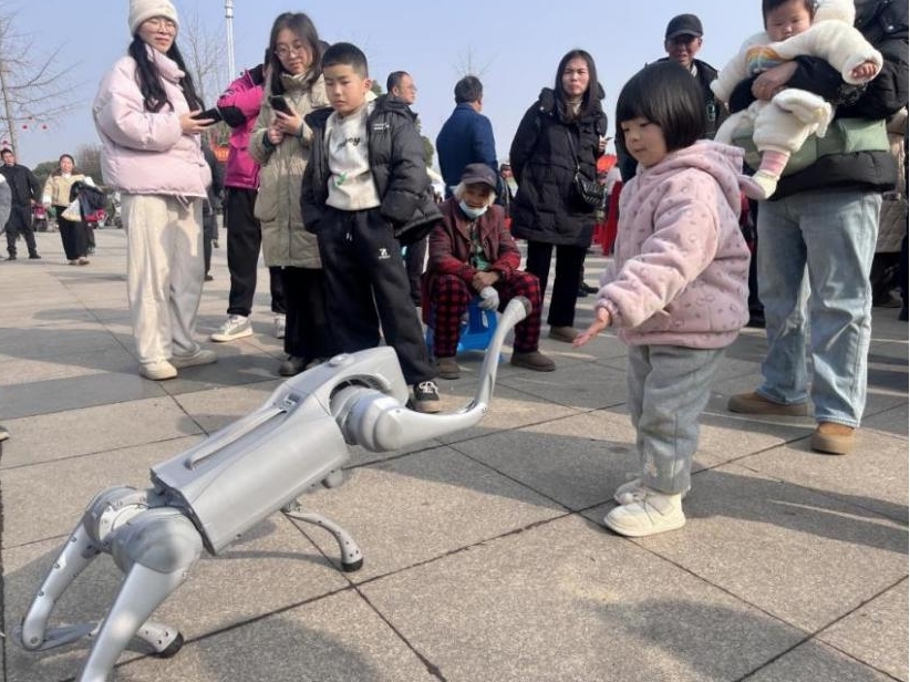 1769766162466057241.jpg 图片3.jpg