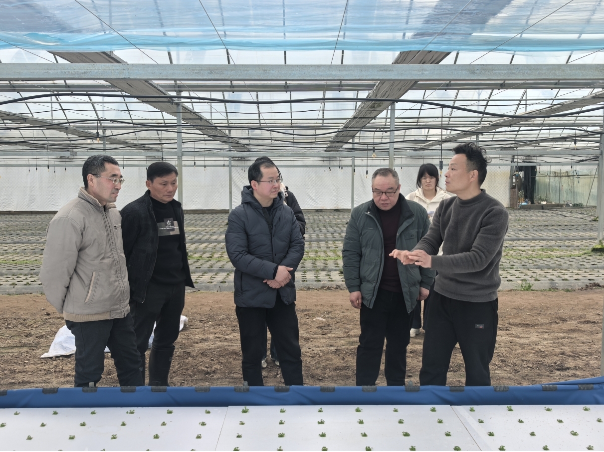 1770802079196039626.jpg 图片3.jpg