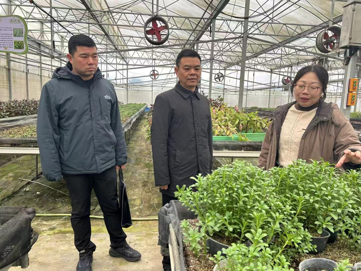 1772698560357093361.jpg 图片4.jpg