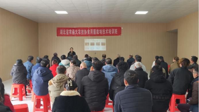 1773021762192039988.jpg 3642443684.jpg