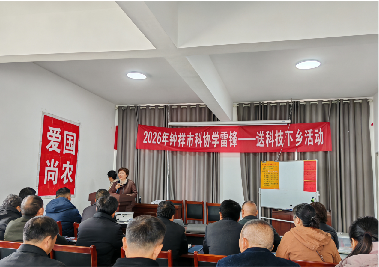 1773041672260025485.png 图片1.png