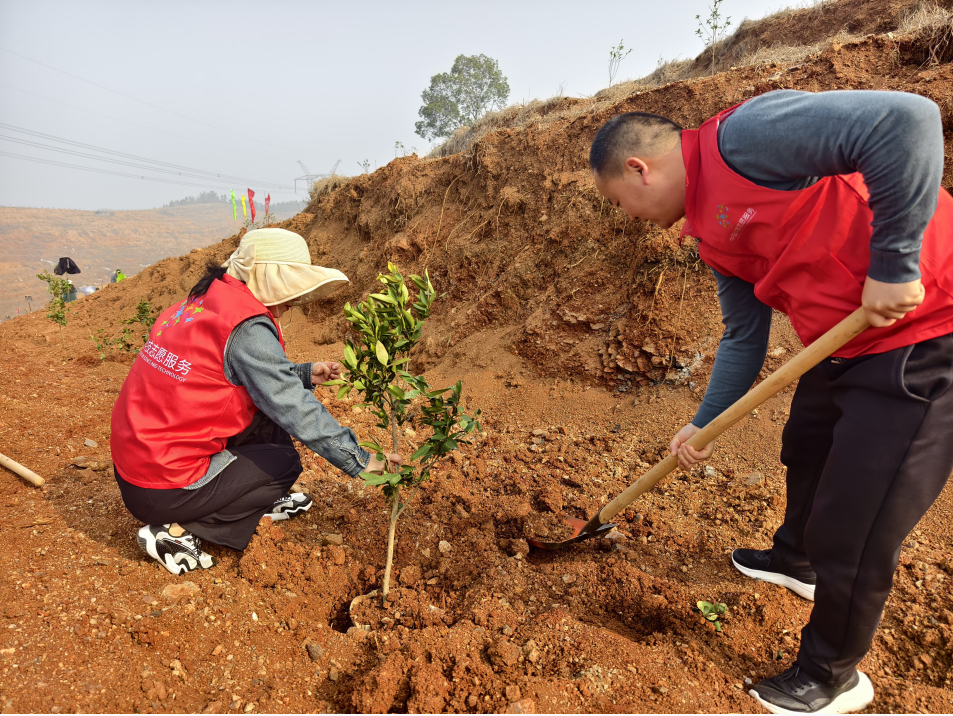 1773368427656089961.png 截图_2.png