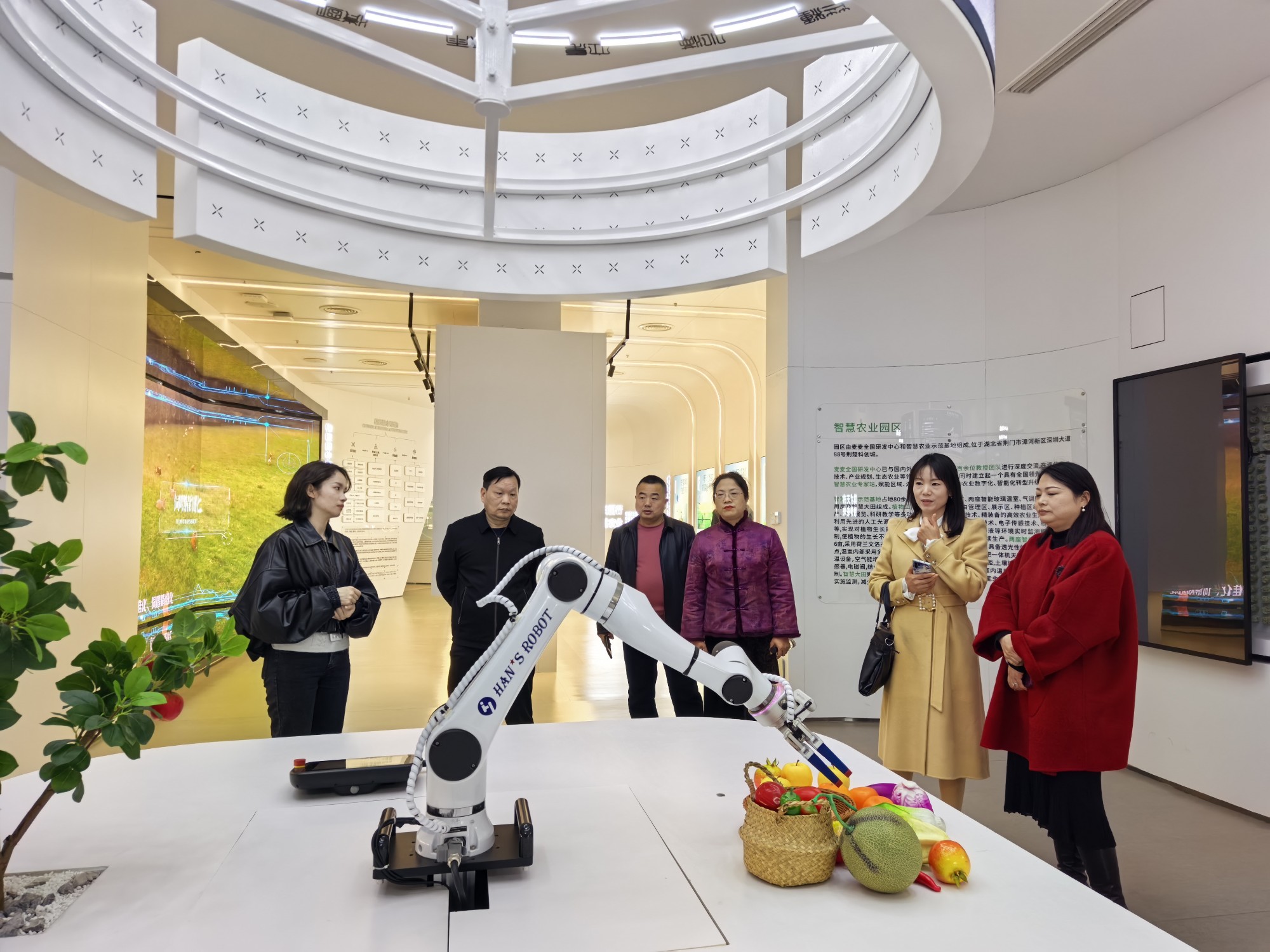 1773652454495008275.jpg 图片3_副本.jpg